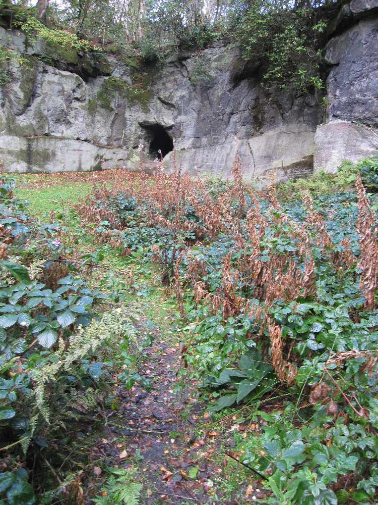 img_6858.jpg
