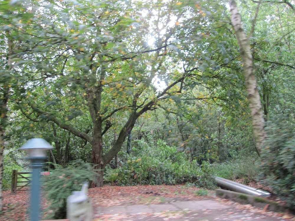 img_6897.jpg