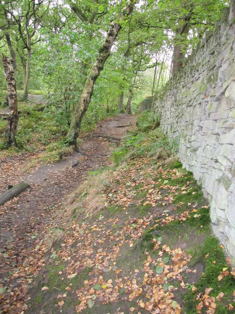 img_7022.jpg