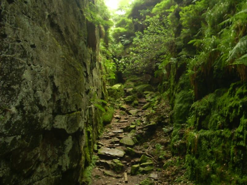 Lud's Church