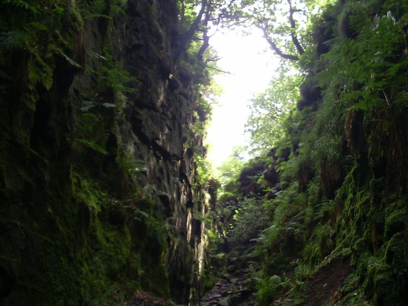 Lud's Church